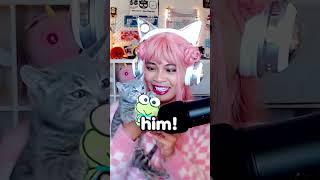 My Hello Kitty Cafe Roblox but in Real Life! #hellokitty #sanrio #shorts