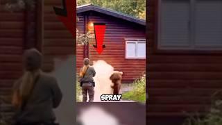 Protection Against Bear Attack ️