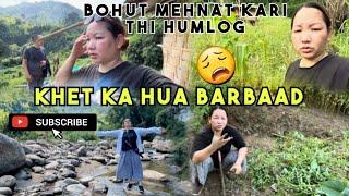 BARBAAD HUA HUMARE KHET KA VEGETABLES ||   FARMHOUSE KA BURA HAAL 