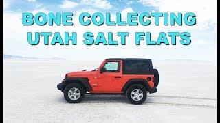 Bone Collecting in the Utah Salt Flats