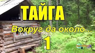 ТАЙГА | Вокруг да около 1 из 2