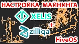 ️ Xelis (XEL) + Zilliqa (ZIL) - лучшая связка на сегодня! Настраиваем майнинг в HiveOS