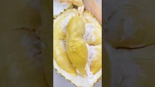 Amazing! Fruit Cutting Durian #durian #fruitcutting #shorts #ทุเรียน