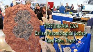 FOSSILMANIA 2024, Dallas Paleontological Society, Glen Rose, Texas