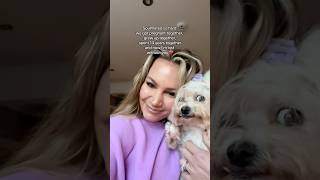 Come back  #soulmates #souldog #dogmom