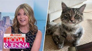 Jenna Bush Hager shares 'heartbreaking' news family cat is missing