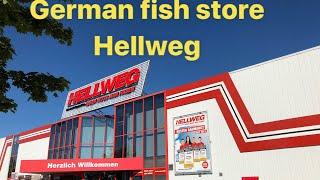 A Visit To Hellweg In Germany