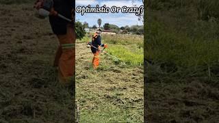 Cleaning 10 acres of land woman alone of 60 #southafrica #youtubeshorts #animals #motivation