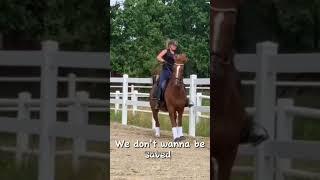 Dont save us #equestrian #horses #horseriding #horsesports #equestrianrider