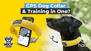 Halo Collar: The Ultimate GPS Dog Collar & Training Fence Solution!