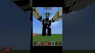 Minecraft #shorts