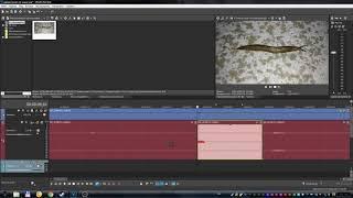 Sony Vegas Pro 16 - как удалить слово или звук из аудиодорожки и заменить тишину на фоновый звук