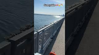 Toronto Sunnyside Beach bike ride ️️‍️