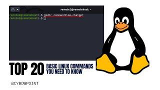 Top 20 basic Linux commands you need to know