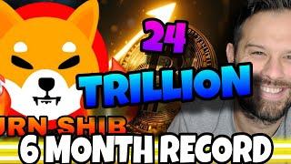 Shiba Inu Coin | 24 Trillion SHIB?! The Most In Over 6 Months!