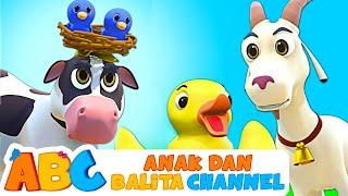 Suara Bayi Hewan | Suara Hewan | Lagu Anak Anak | ABC Bahasa Indonesia