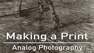 Making a Print in the Darkroom || Eugene Darkroom Group