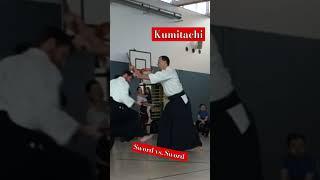 Aikiken, Aikijo and Ken tai Jo Demonstration at  Schwert-Greifen Rostock #shorts