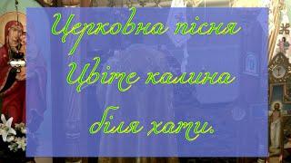 Церковна пісня"Цвіте калина біля хати..."