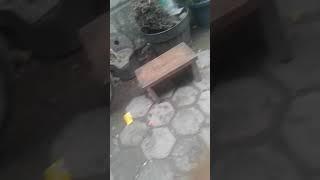 Ketauan Sopo Lagi Ngocok DiKamar mandi