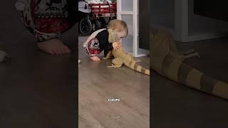 A friendly dragon #animal #shorts