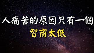 人痛苦的原因只有一個：智商太低！人最大的痛苦是欲望和認知不匹配！