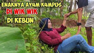 P3C4H P3R4W4N 4Y4M K4MPUS DI KEBUN L4R4NG4N Feat LAMBE NGAPAK TV #PART01 || KEHIDUPAN SEHARI-HARI
