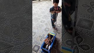 The toy truck swerved #shortvideo #shorts #ytshorts #anomaly #funny #tungtungtungsahur