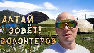 Апекс "Листья"  Ищем волонтеров на Алтай