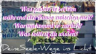 Was passierte bei ihm während der Pause zwischen euch? Warum kommt er zurück?Was solltest du wissen?