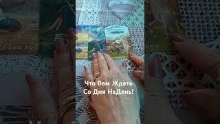 Что Вам Ждать Со Дня  На День ! #таро #tarotdoamor #tarotreading #tarotcards #tarot #таролог #taro