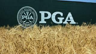 PGA Championship Theme