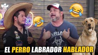 El perro labrador hablador | Hernán El Potro