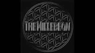 N.E.R.D. Hypnotize U - The Millebean Remix