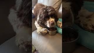 Where We're At With Buddy...[STORY BELOW]