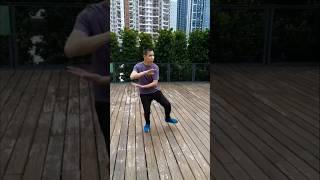 「李小龍」講水的原理是來自(太極拳) 「葉形菲」示範(混綿太極拳)#shorts #李小龍 #太極拳 #武術 #葉形菲