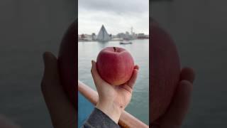 Even the apples are better in Japan