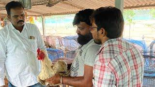 Tenali Basha gari farm lo orugulu pettalu Bagunayi 2024 batch @asramamsudhir