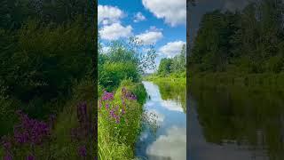 Serenity by the River" #music #waterfall #aquaticserenity #natureharmony