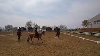 Sofia,Maya,Medea Club Ecvestru Decebal Bacau horse riding  dji air2s