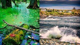 LANDSCAPE PHOTOGRAPHY TUTORIAL FOR BEGINNERS - Composition Basics - Foreground/Midground/Background