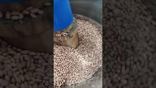 How to make wood pressed groundnut oil | wood pressed oils | gourmet oils | oil