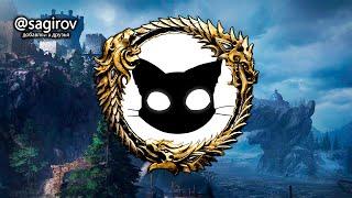 Легендарный СТРИМ The Elder Scrolls Online Mr. Cat ( Бегаем по Скайриму )