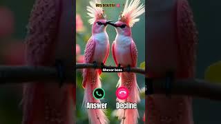 #ringtone #nadaderingtelepon #smartphone #ringtones #music #bgm #ringtonemurah #funny