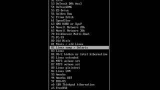 cfdisk arch install