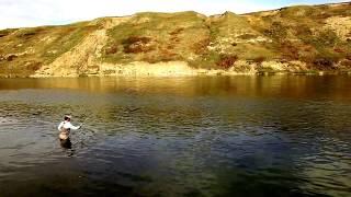 Fall Fishing on The Bow River