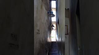 Narrowest street in Prague  #shorts #prague #czechrepublic