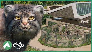 Building a PALLAS'S CAT Habitat in the Elm Hill City Zoo! | Planet Zoo