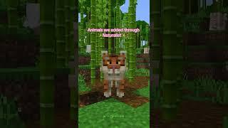 Vanilla Minecraft Animals VS Naturalist