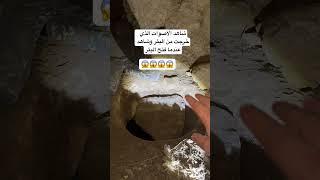 #اكسبلور  #البحث_عن_الكنوز